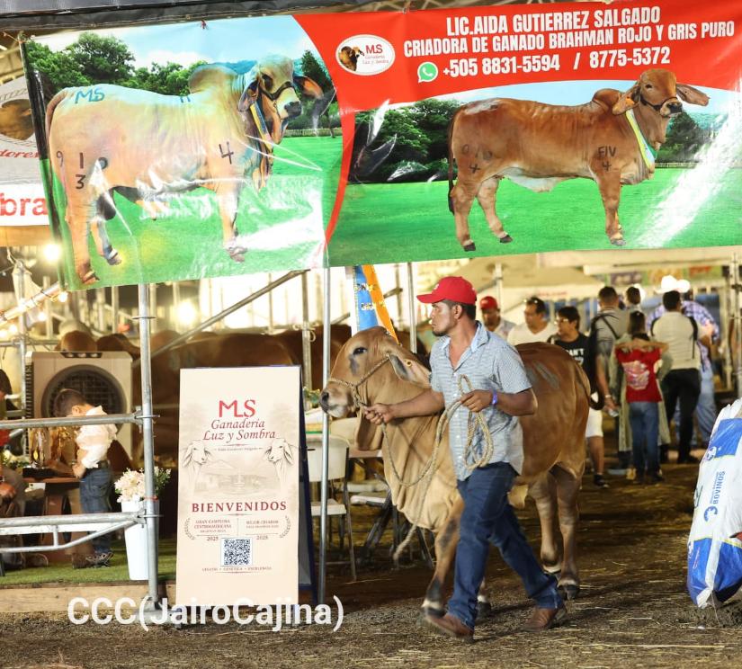 Feria-Ganadera--(23)