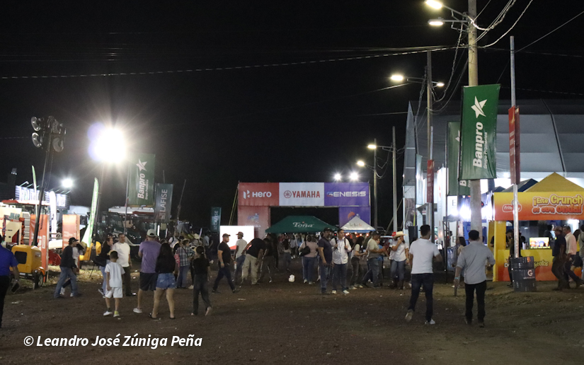 Feria--(1)