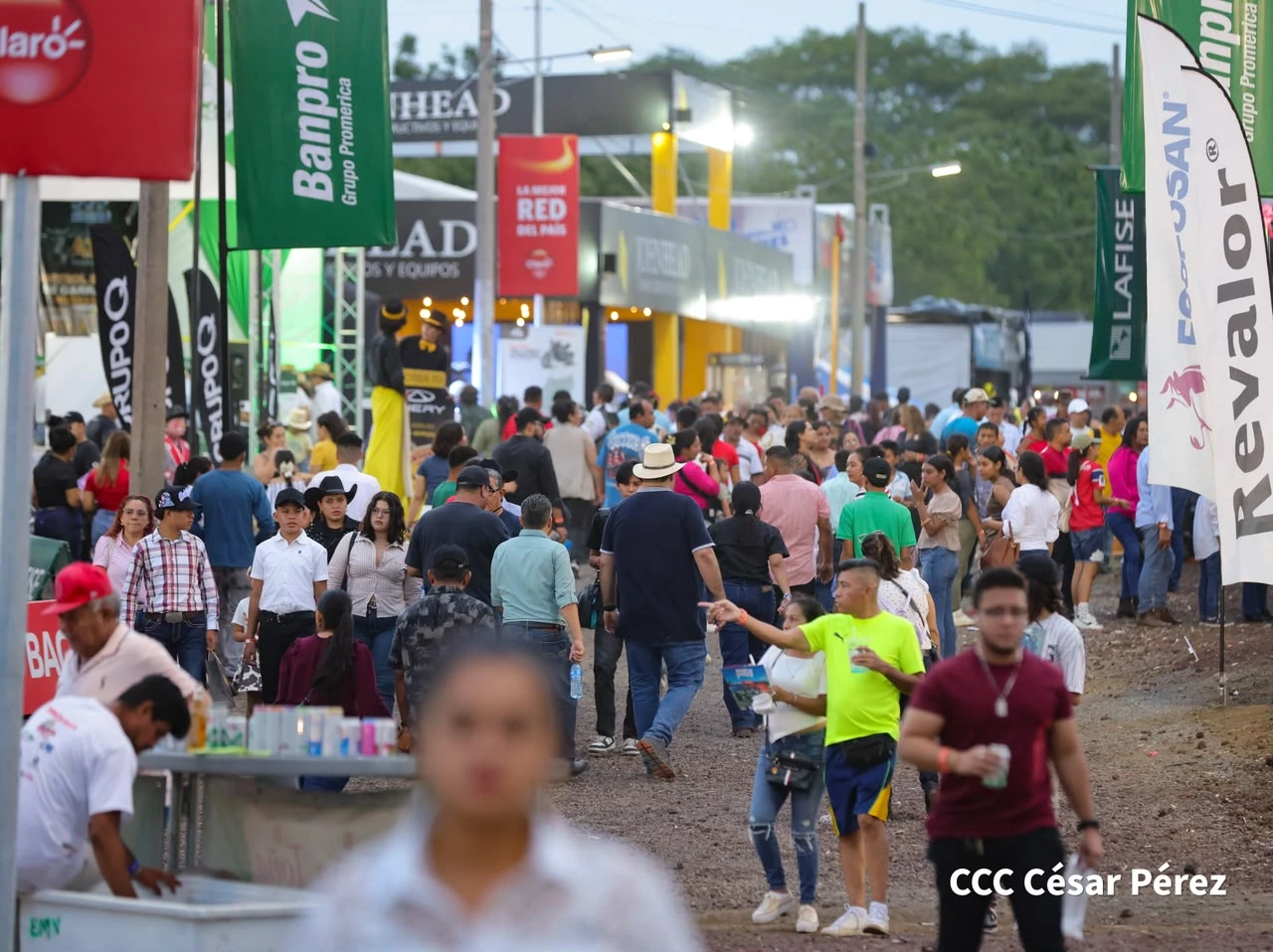 FERIA-(10)