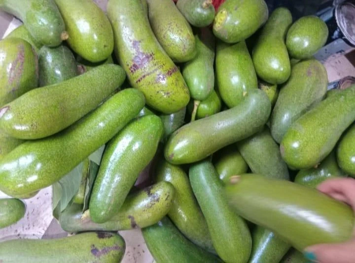 AGUACATE2
