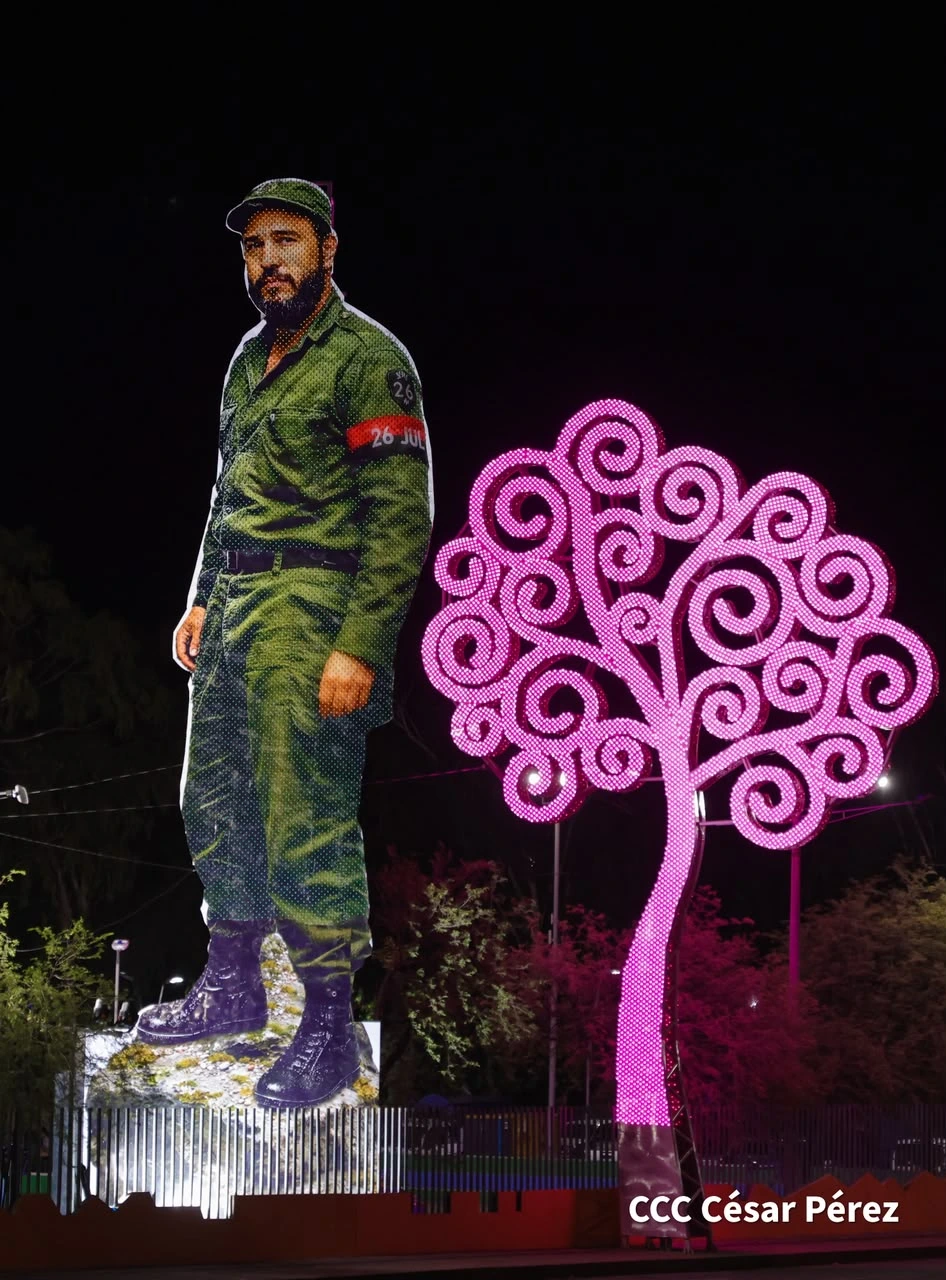 FIDEL13