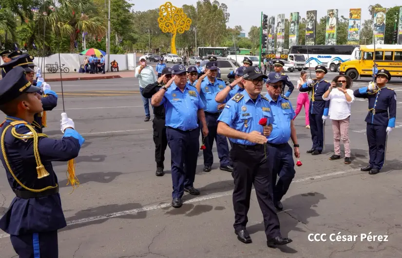 TOMAS-41