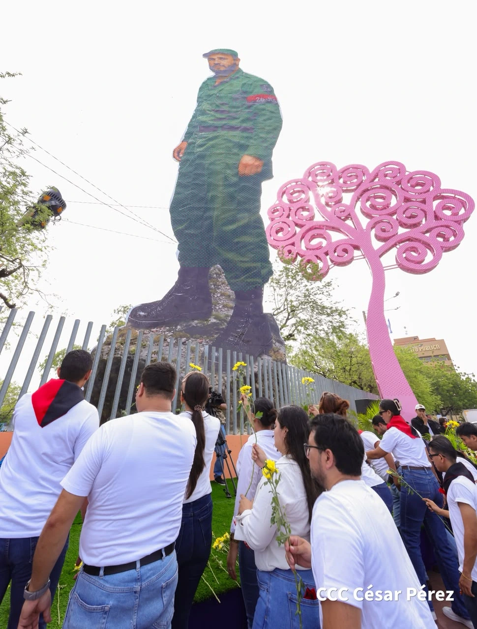 FIDEL19