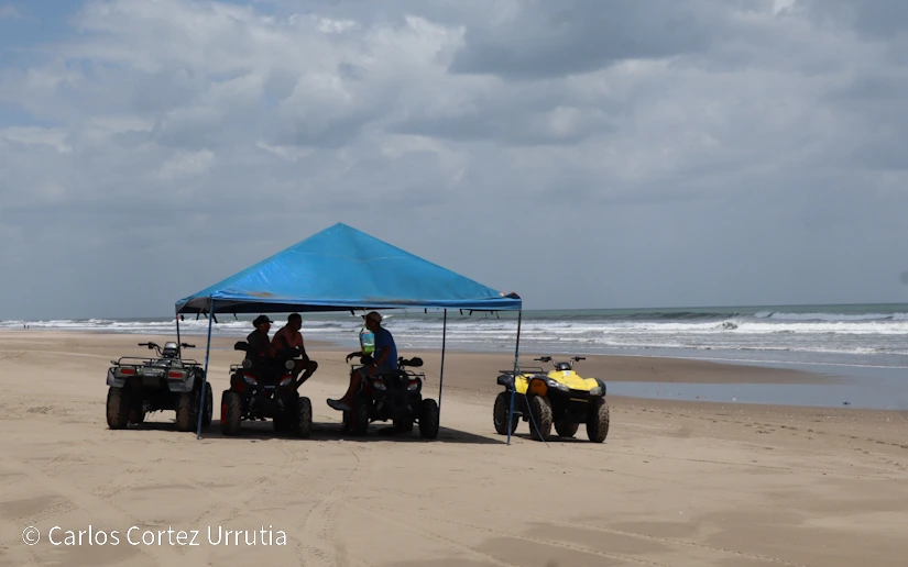 PLAYA16