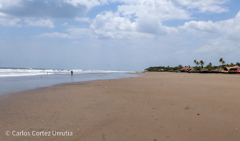 PLAYA19