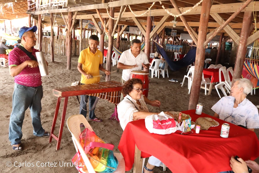 PLAYA29