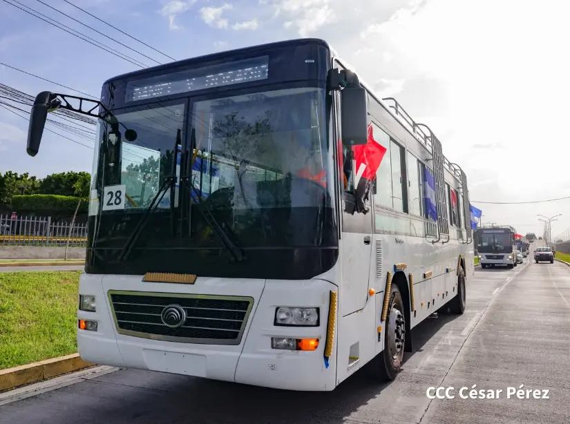 AUTOBUSES--(14)