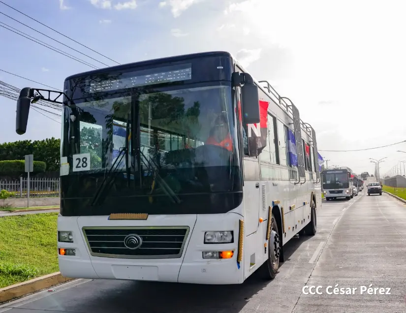 AUTOBUSES--(18)