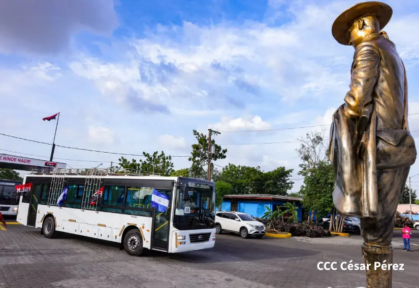 AUTOBUSES--(21)