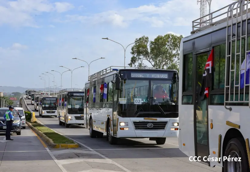 AUTOBUSES--(41)