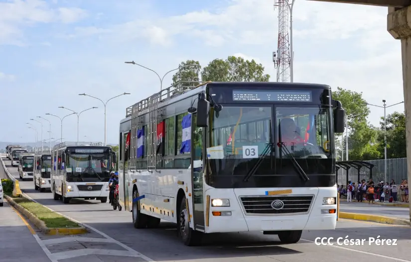 AUTOBUSES--(42)