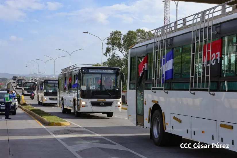 AUTOBUSES--(44)