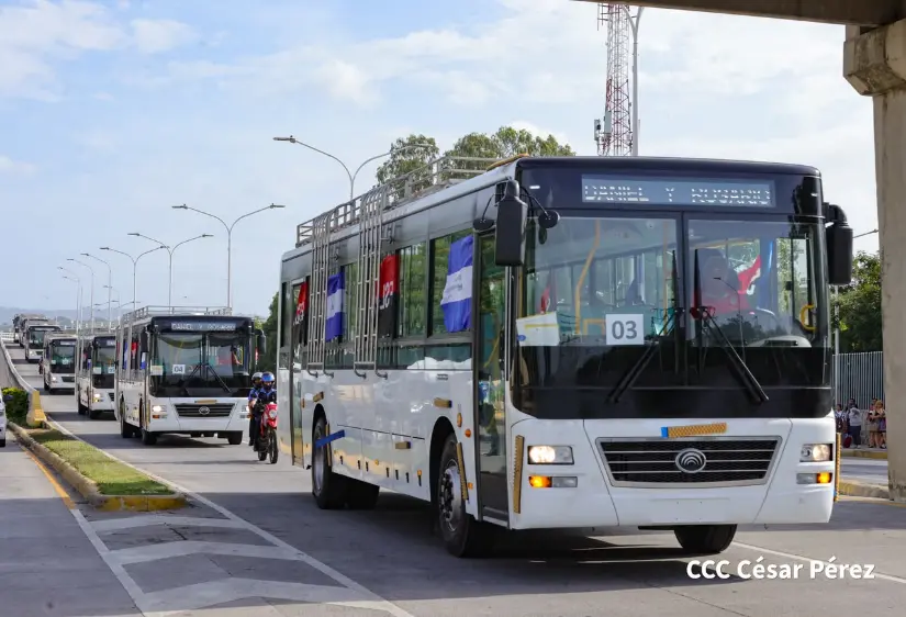 AUTOBUSES--(47)