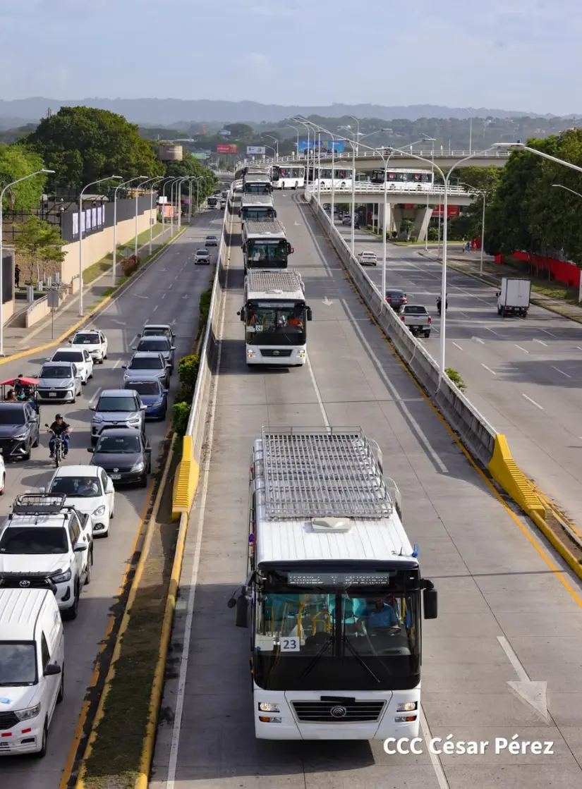 AUTOBUSES--(5)
