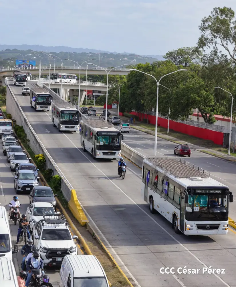 AUTOBUSES--(50)