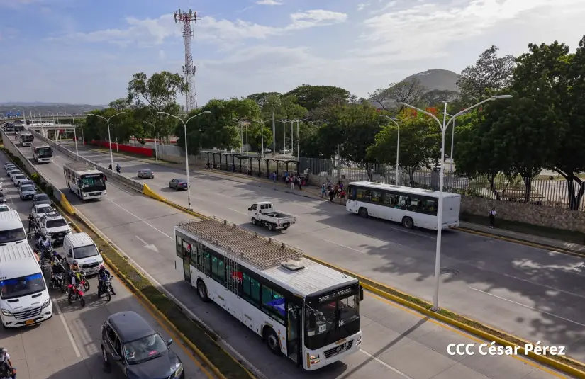 AUTOBUSES--(51)