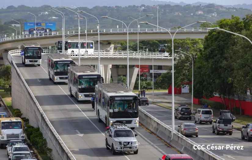 AUTOBUSES--(8)