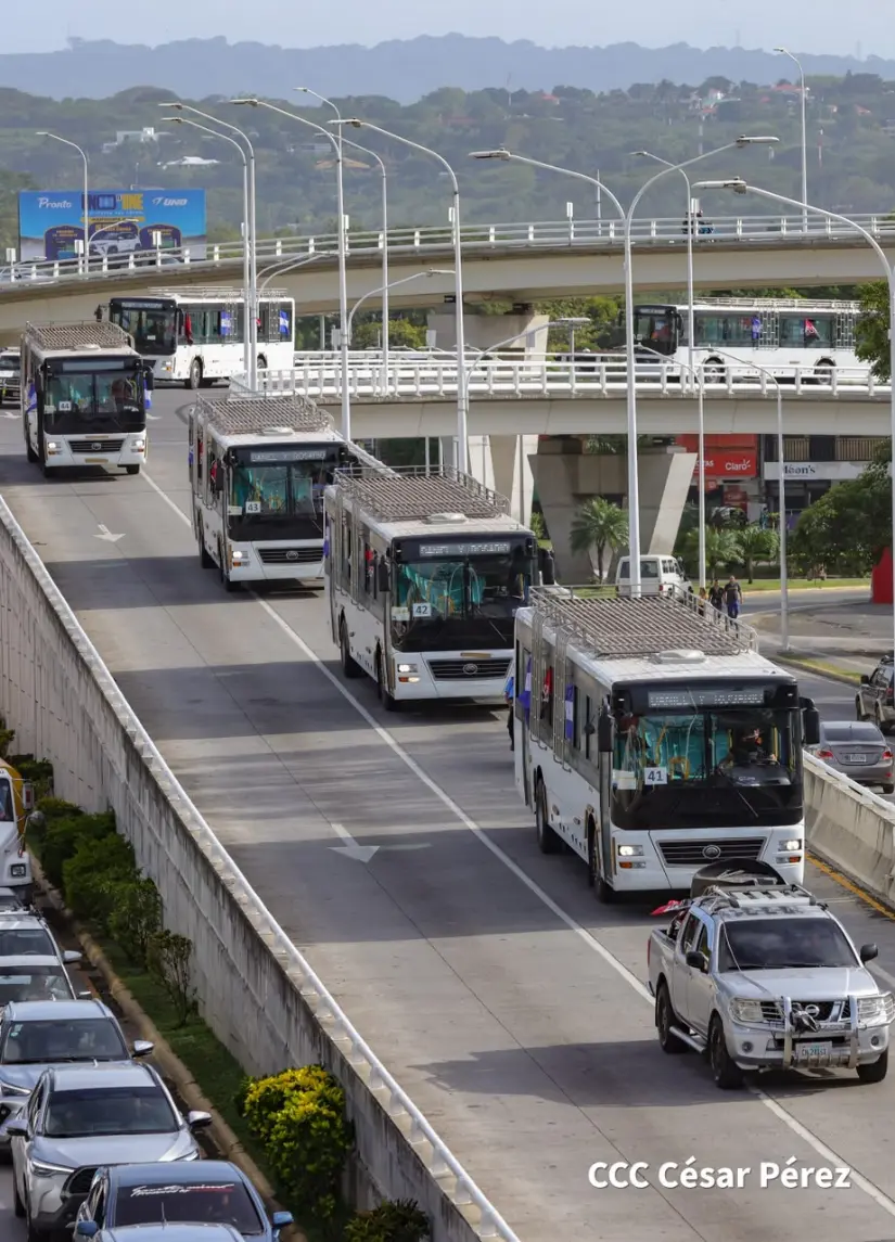 AUTOBUSES--(9)