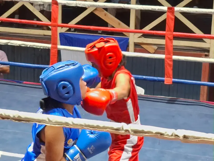 Boxeo--(11)