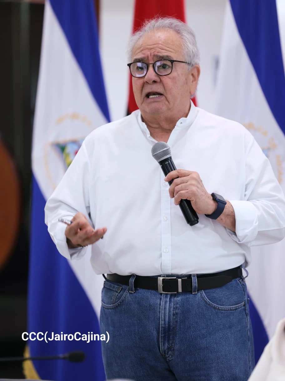 CONSULTA11
