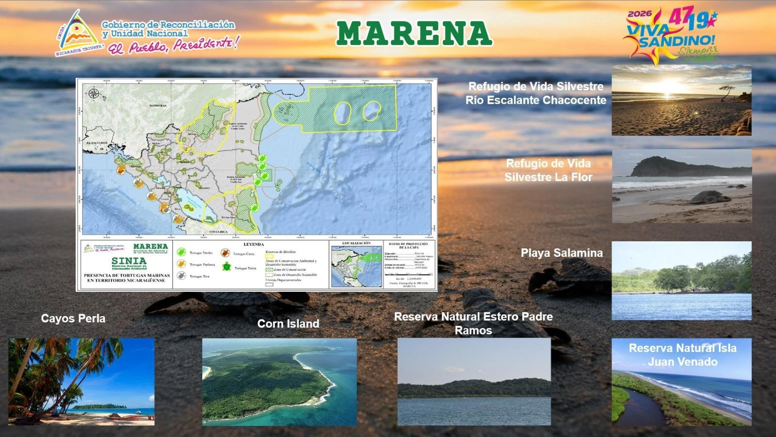 MARENA1