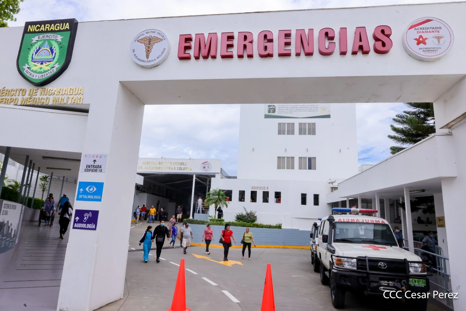 MEDICO12