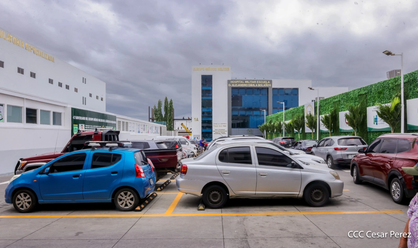 MEDICO19