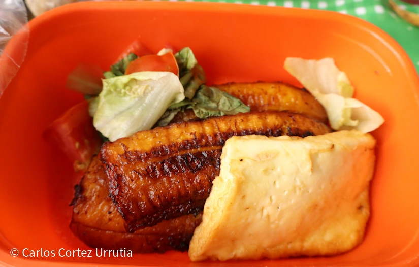 FERIA-GASTRONOMICA6