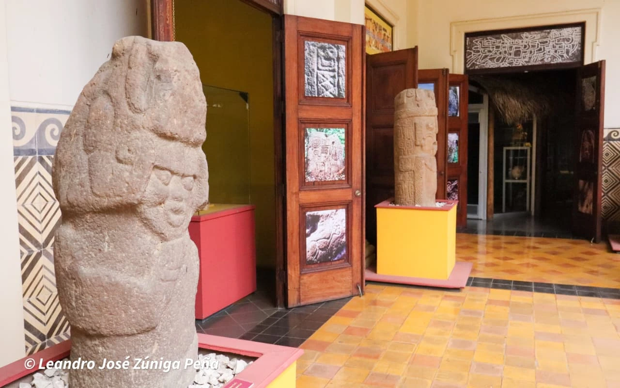 MUSEO6