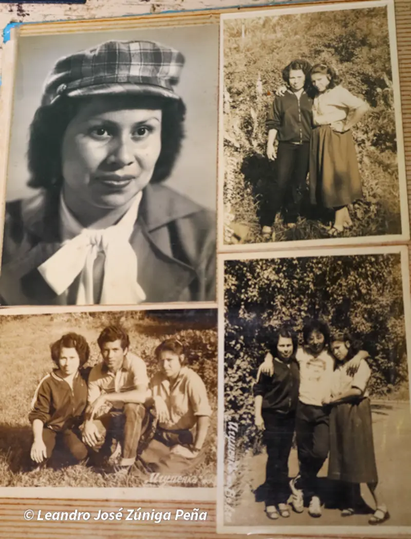 ALFABETIZADORA-12