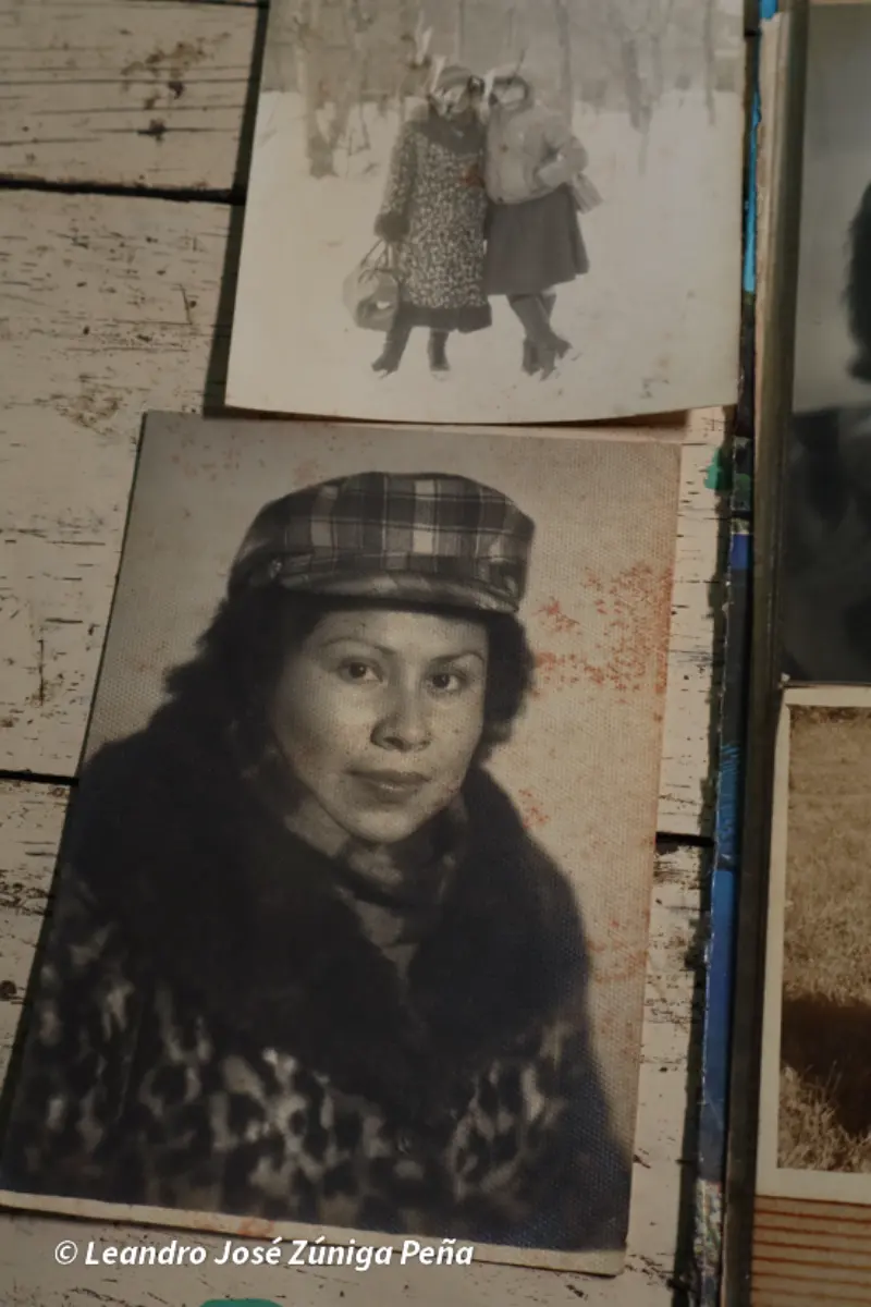 ALFABETIZADORA-8
