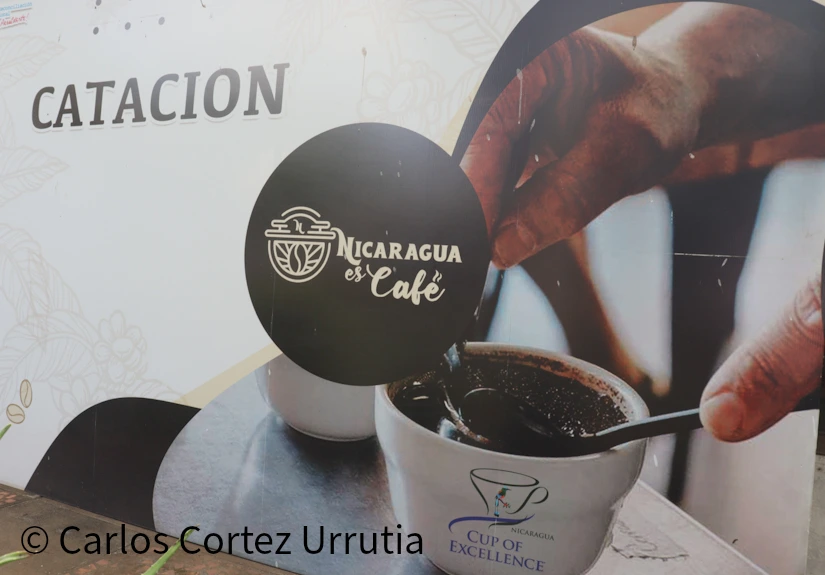 CAFE3