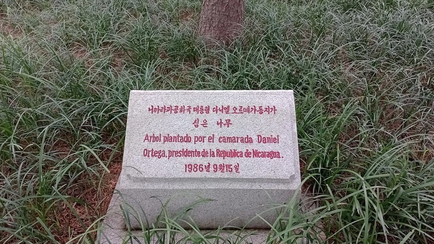 RPDC1