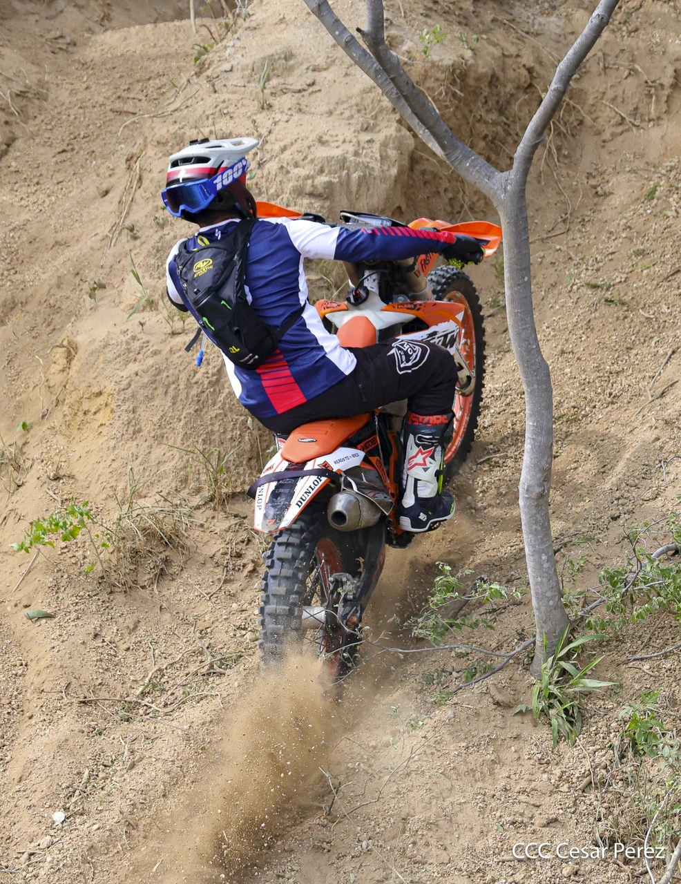 MOTO-(1)
