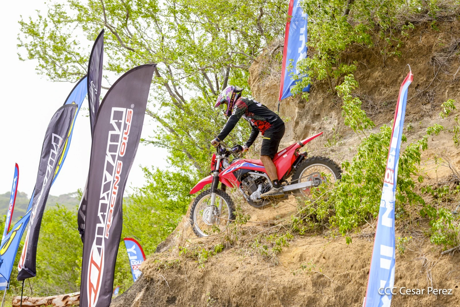 MOTO-(14)