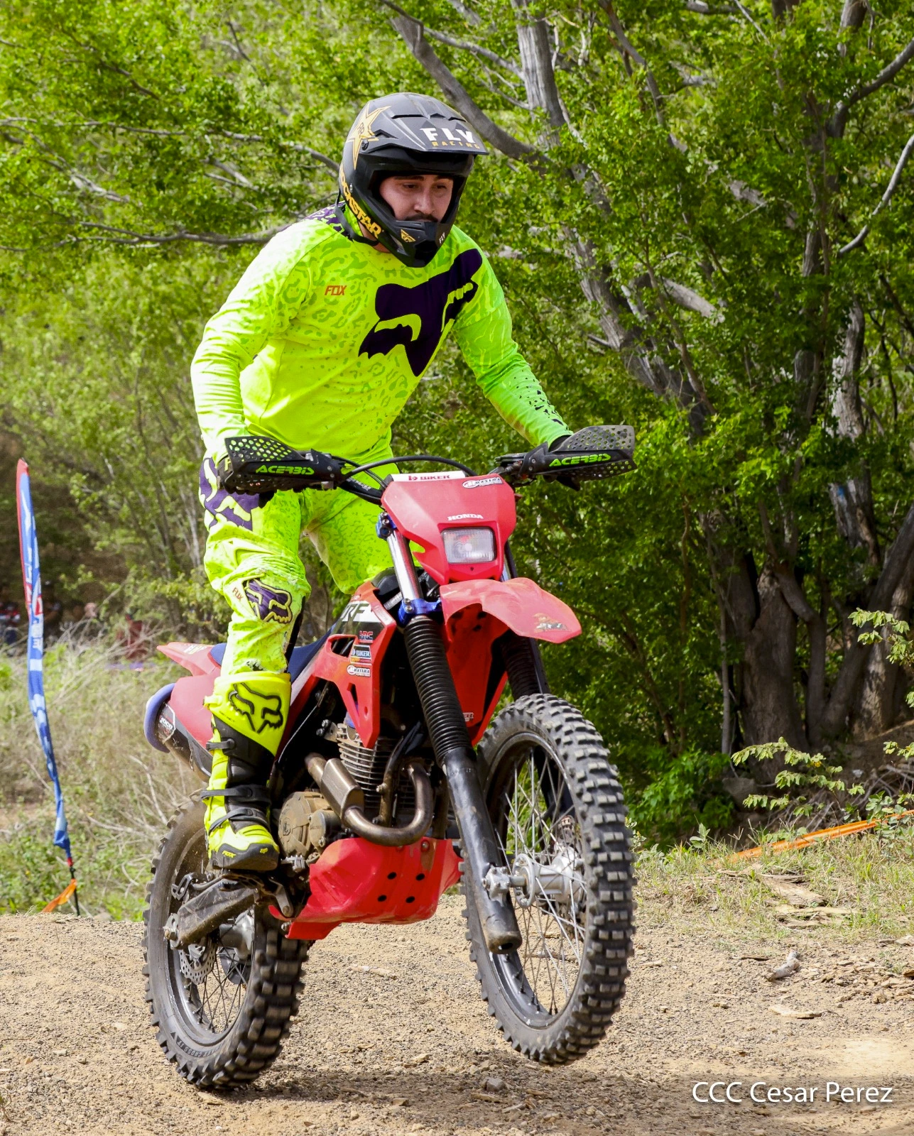 MOTO-(15)
