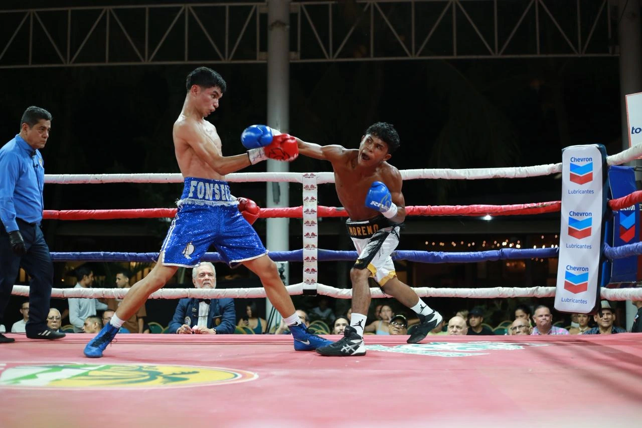 BOXEO-(20)