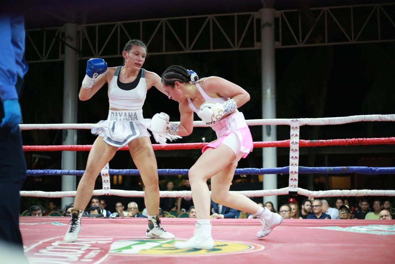 BOXEO-(4)