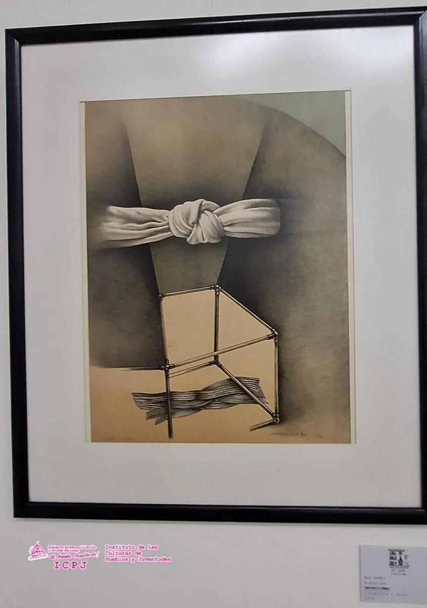 MUSEO7