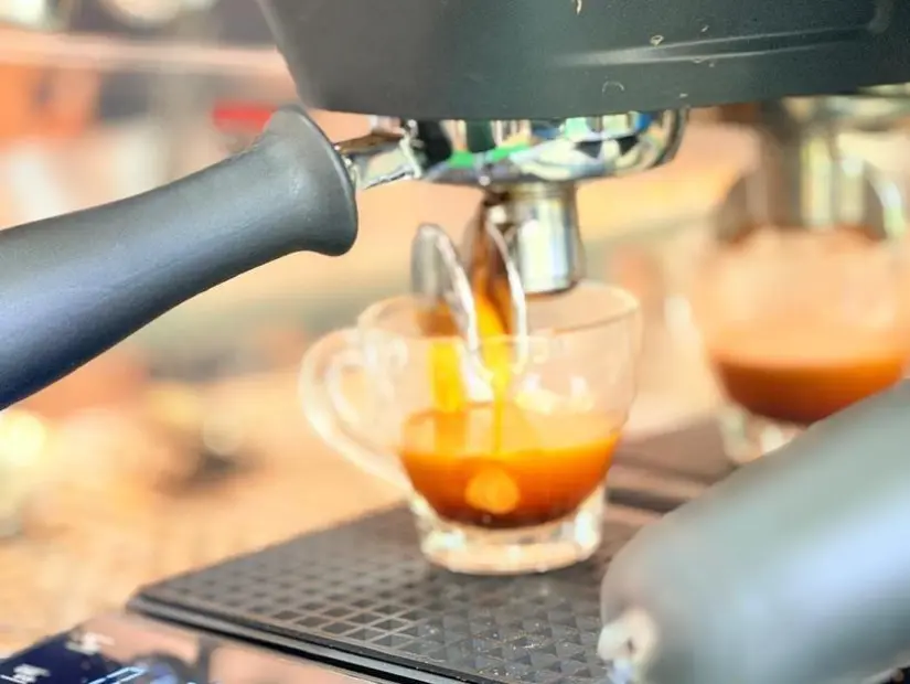 CAFE-19