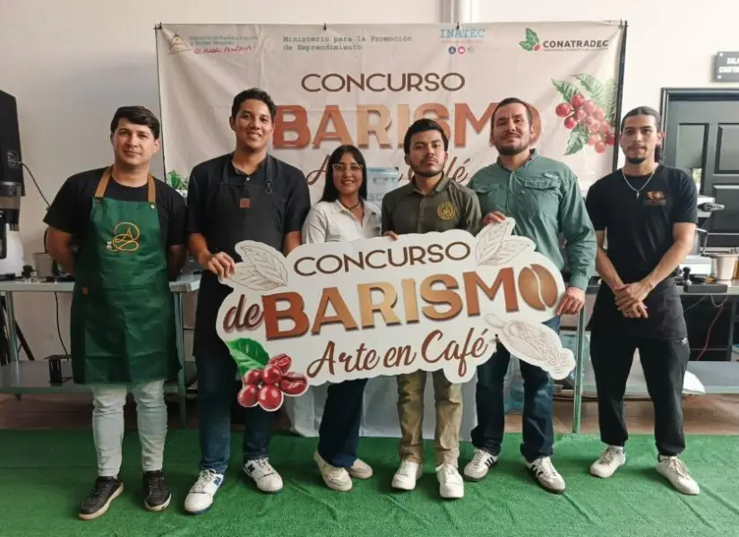 CAFE-31