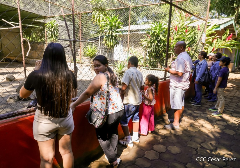 ZOOLOGICO10