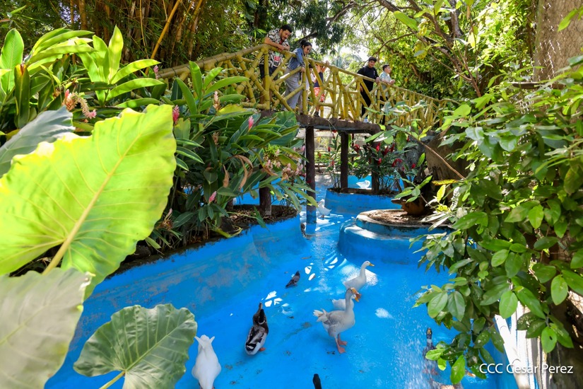 ZOOLOGICO14