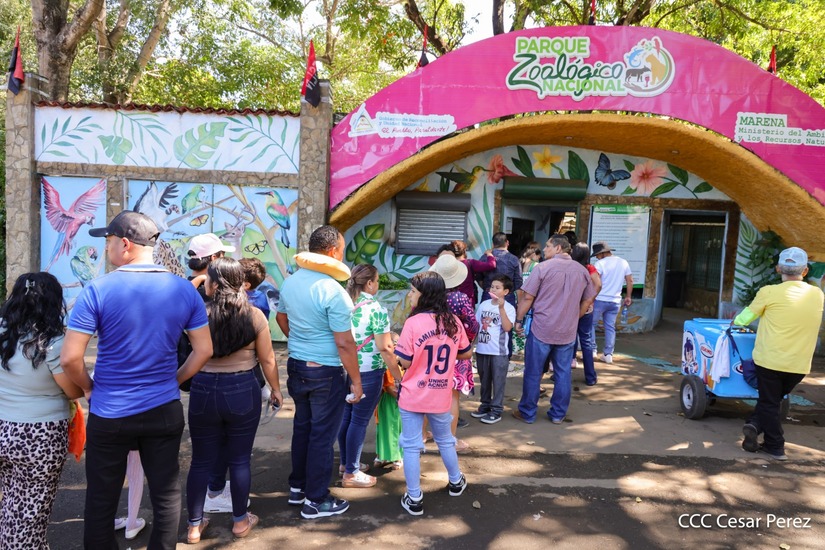 ZOOLOGICO2