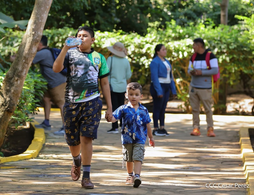 ZOOLOGICO23