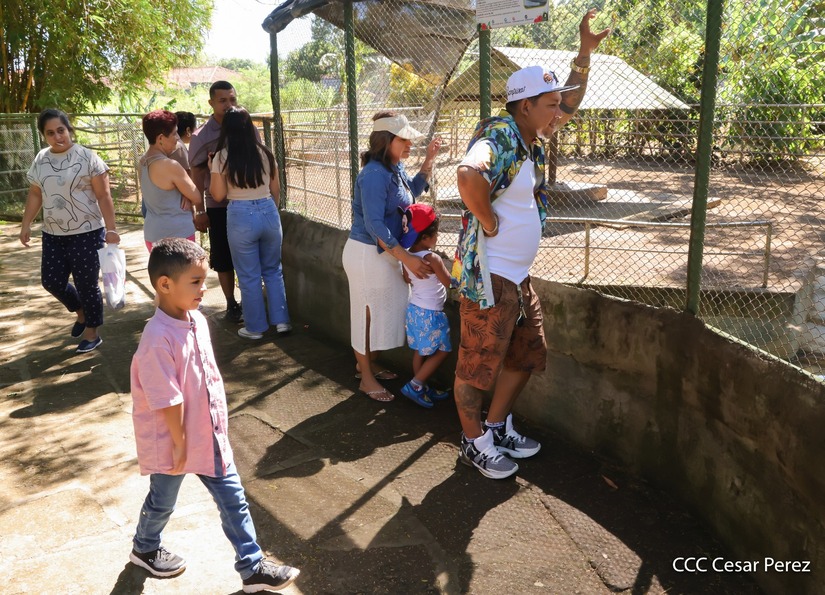 ZOOLOGICO27