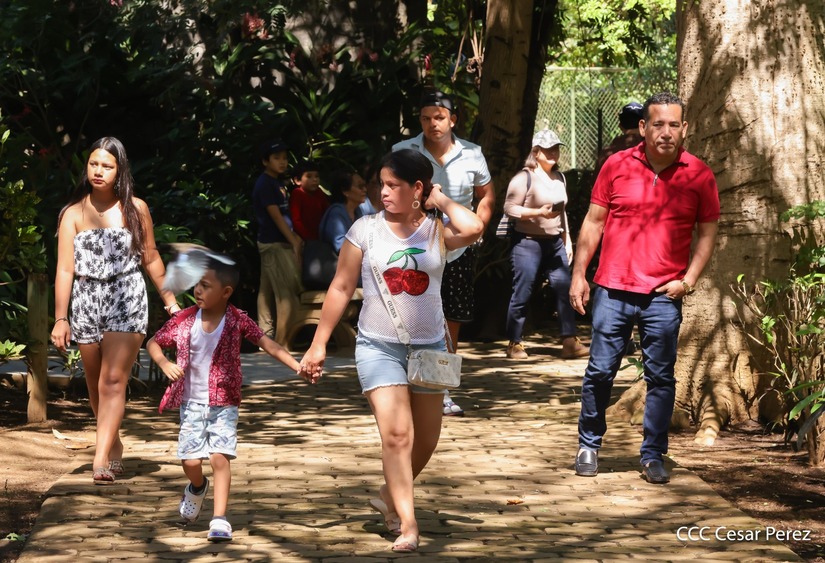 ZOOLOGICO29