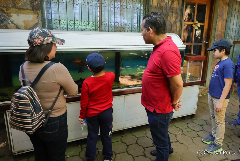 ZOOLOGICO4