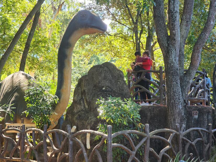 PARQUE-(12)