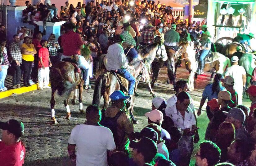 HIPICO1